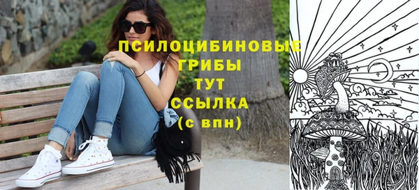 ПСИЛОЦИБИНОВЫЕ ГРИБЫ Куйбышев