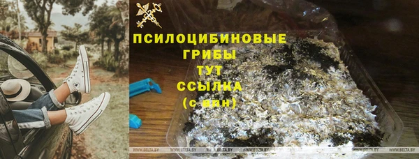 ПСИЛОЦИБИНОВЫЕ ГРИБЫ Куйбышев