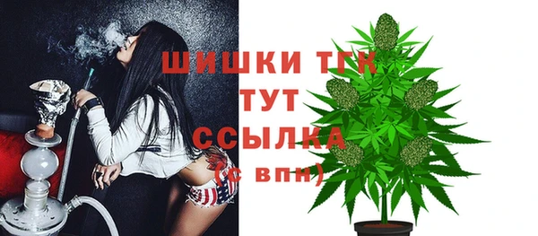 ПСИЛОЦИБИНОВЫЕ ГРИБЫ Куйбышев