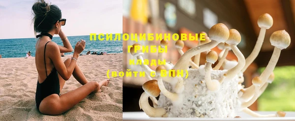 ПСИЛОЦИБИНОВЫЕ ГРИБЫ Куйбышев